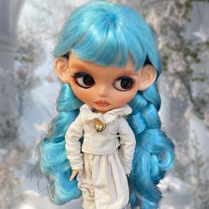 Hand-crafted. Doll, Christmas Gift, Toy Doll, OOAK Blythe, Ond-Of-A-Kind doll, Handmade Collector, Silver Hair Blythe, Custom Doll, Big Eyes