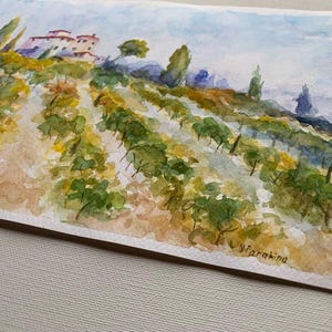 Op de afbeelding: Waterverfschilderij van een wijngaard met rijen groene wijnranken op een heuvel. Een gebouw met rode pannendaken is zichtbaar. De lucht is lichtblauw en de voorgrond is een mix van geel en bruin.