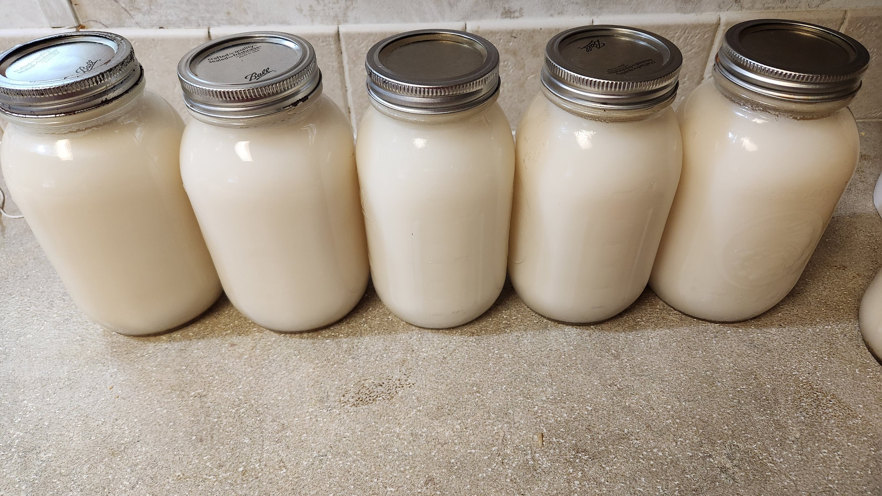 100 Organic Leaf Lard From Small Florida Farm, NON GMO Etsy