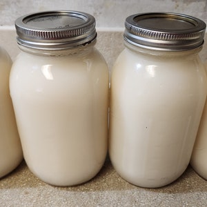 Pu&ograve; includere: Quattro barattoli di vetro trasparente con coperchi argentati riempiti di un liquido bianco, probabilmente latte o yogurt fatto in casa, su un piano di lavoro marrone chiaro.