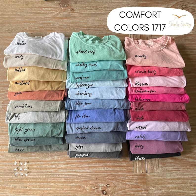 Cute Goose Tennis Shirt Comfort Colors, Funny Tennis Player Tee, Funny Goose Coach Gift, Womens Tennis Team Shirt, Sports Mom Graphic Tee