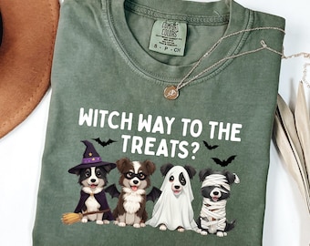 Border Collie Halloween Shirt, Comfort Colors Dog Mom Shirt, Funny Spooky Dog Mom Shirt, Trick or Treat Border Collie Fall Shirt, Collie Mom