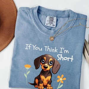 Sarcastic Dachshund Shirt Funny Doxie Tee Short Patience Dog Lover Gift Cute Wiener Dog Shirt Sausage Dog Tee  Dog Mom Shirt Pet Lover Gift