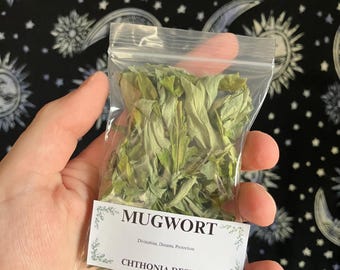 Mugwort