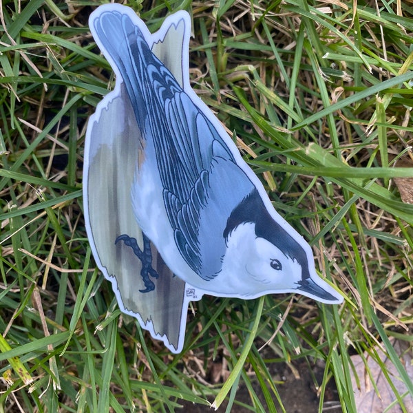 White Breasted Nuthatch - NJ Native Bird Vinyl Sticker