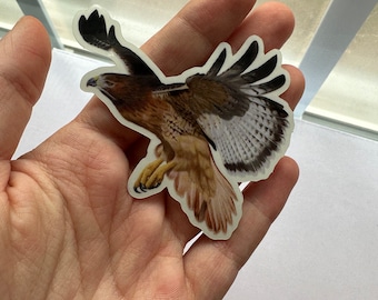 Red-Tailed Hawk Flying Realistic Clear Vinyl Sticker