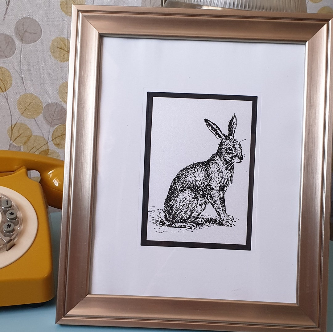 Rabbit Print. Wildlife Print. Screen Printed Rabbit. Rabbit Picture ...