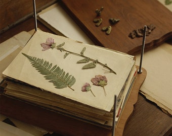 Handgefertigte botanische Blumenpresse aus Holz ~ antikes recyceltes Zedernholz ~ Prairiecore ~ Cottage ~ Cottagecore ~ Garten ~ Botanik