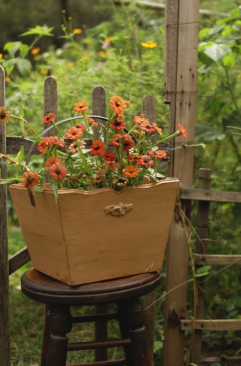 Wooden Harvest Basket Prairiecore Antique Reclaimed Cedar Wood English Cottage Country Cottagecore Garden Meadow image 4