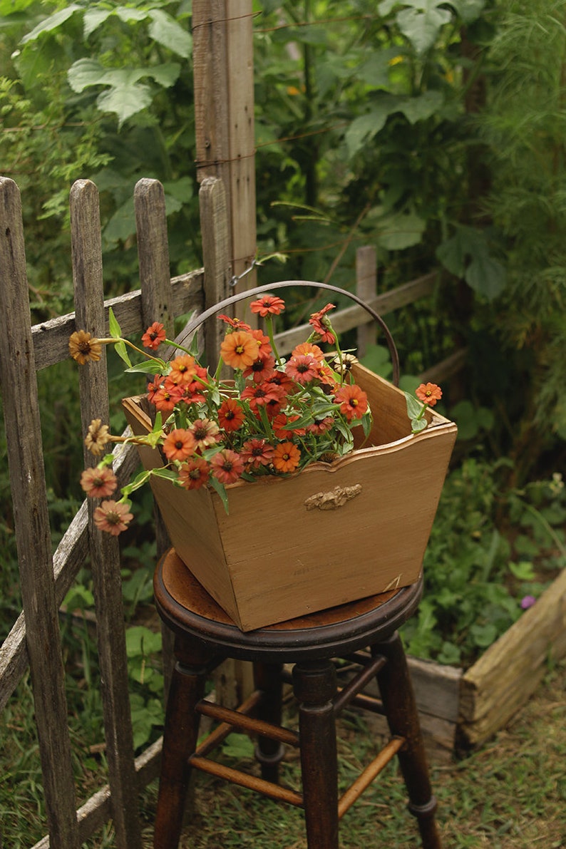 Wooden Harvest Basket Prairiecore Antique Reclaimed Cedar Wood English Cottage Country Cottagecore Garden Meadow image 3