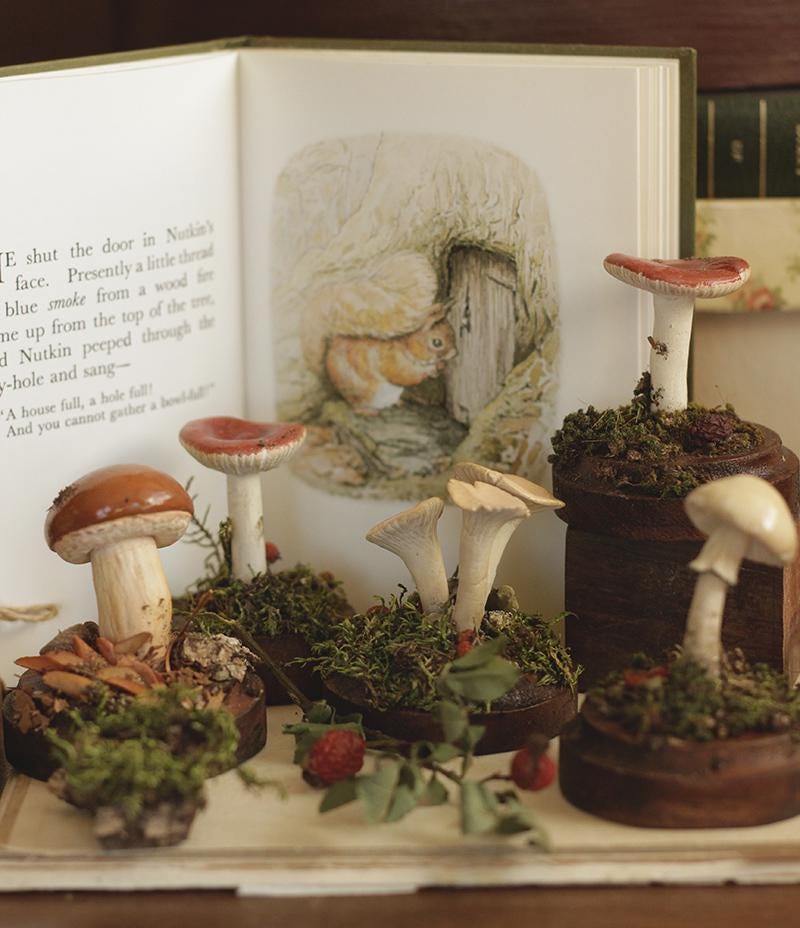 Miniature Replica Natural History ~ Sculpture ~ Mushroom ~ Woodland ~ Cottagecore ~ Fairycore ~ Goblincore ~ Russula ~ Boletus ~ Fairytale