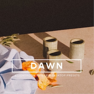 Soft Presets, Film Presets, 4 Lightroom Mobile Presets, Desktop Presets, Warm Presets, Bright Vintage Presets, Outdoor Influencer Presets,