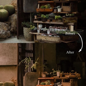 May include: A rustic wooden shelf with multiple levels displays a variety of potted succulents. The shelf is made of reclaimed wood and has a natural, weathered finish. The succulents are arranged in a variety of pots, including terracotta, metal, and ceramic. The shelf is set against a backdrop of a brick wall and a wooden door.