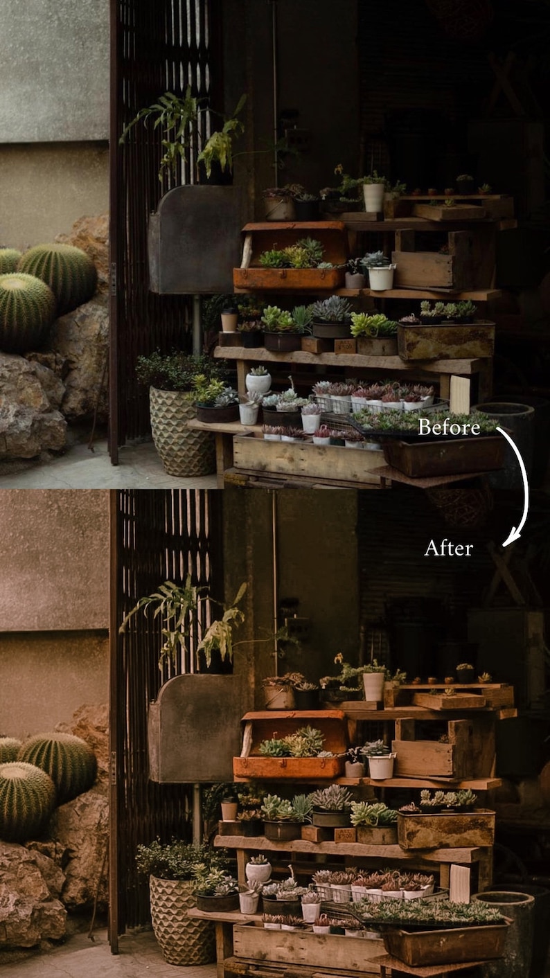 May include: A rustic wooden shelf with multiple levels displays a variety of potted succulents. The shelf is made of reclaimed wood and has a natural, weathered finish. The succulents are arranged in a variety of pots, including terracotta, metal, and ceramic. The shelf is set against a backdrop of a brick wall and a wooden door.