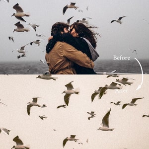 May include: A couple embraces in front of a cloudy sky with a flock of seagulls flying overhead. The image is split in half, with the top half showing the original image and the bottom half showing the image after editing.