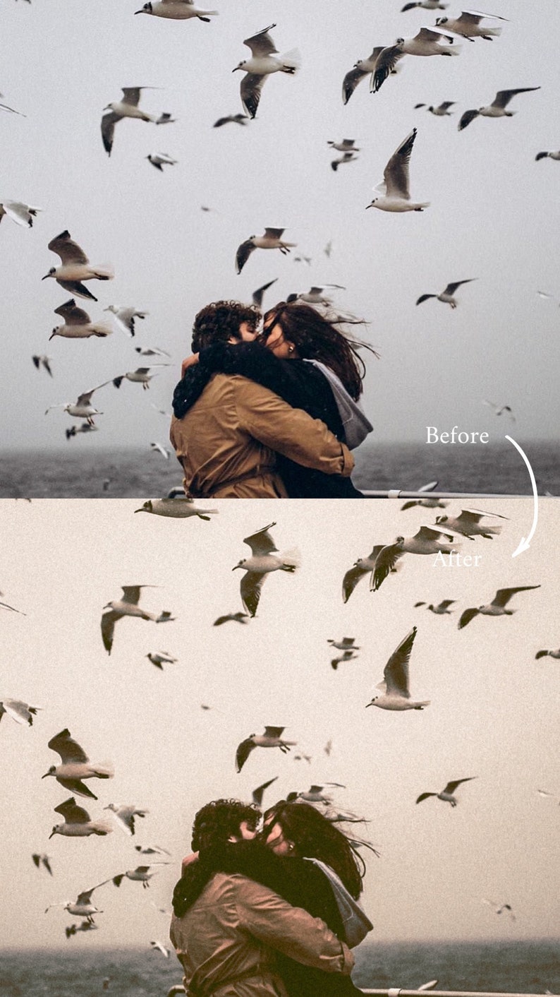 May include: A couple embraces in front of a cloudy sky with a flock of seagulls flying overhead. The image is split in half, with the top half showing the original image and the bottom half showing the image after editing.