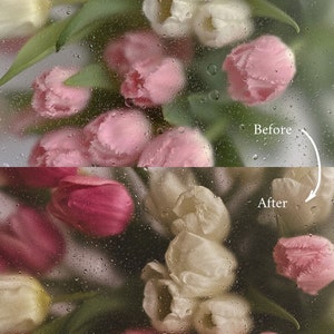 May include: A bouquet of pink and white tulips behind a glass surface with water droplets. The image shows the effect of water droplets on the clarity of the image. "Before" and "After" are written on the image.