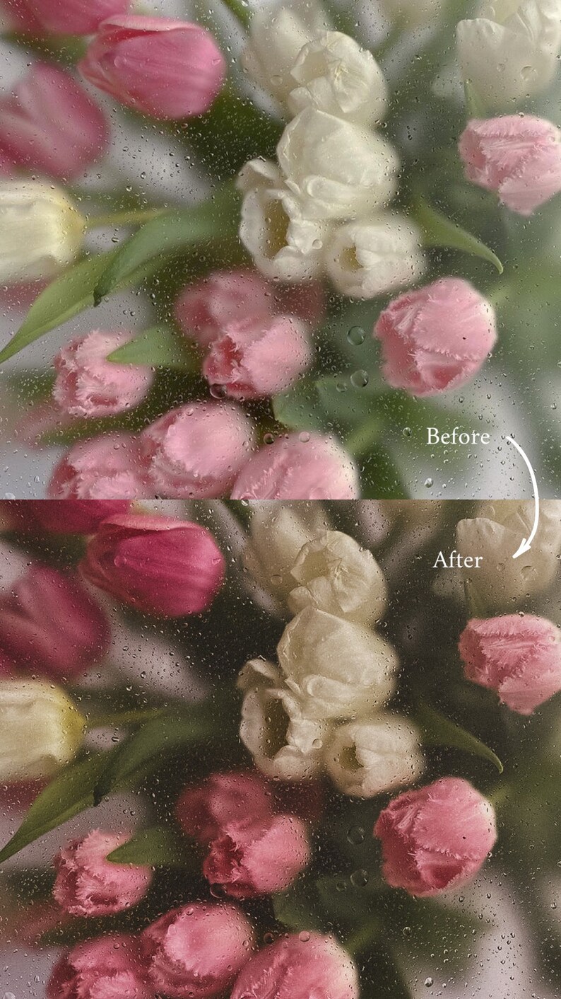 May include: A bouquet of pink and white tulips behind a glass surface with water droplets. The image shows the effect of water droplets on the clarity of the image. "Before" and "After" are written on the image.
