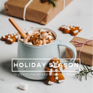 10 Bright Colorful Lightroom Presets, Warm Grainy Lightrom Mobile & Desktop Presets, Winter Holiday Filters, Best Cinematic Airy Presets