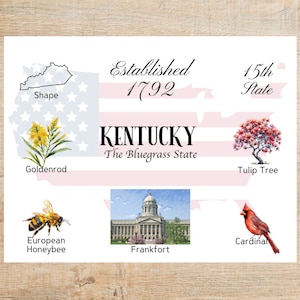 Kentucky Themes and Landmarks Postcard / 1 cartolina o biglietto / Cartoncino spesso / Per inviare un biglietto a un amico