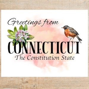 Cartolina di auguri dal Connecticut / 1 cartolina o biglietto / Cartoncino spesso / Ideale per scambi di cartoline come Postcrossing!