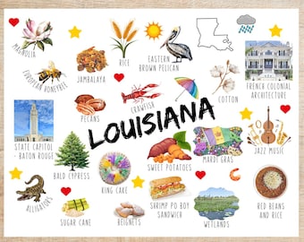 Op de afbeelding: Een kleurrijke illustratie van Louisiana met pictogrammen die de cultuur, het eten en de bezienswaardigheden van de staat vertegenwoordigen. De pictogrammen omvatten een magnolia-bloem, een honingbij, rijst, een bruine pelikaan, jambalaya, kreeft, pecannoten, het State Capitol Building, moerascipressen, zoete aardappelen, Mardi Gras-parels, jazzmuziek, alligators, koningstaart, suikerriet, beignets, een garnalen po'boy-sandwich, wetlands en rode bonen en rijst.
