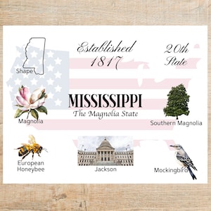 Mississippi Themes and Landmarks Postcard / 1 Postcard o biglietto / Cartoncino spesso / Per inviare un biglietto a un amico