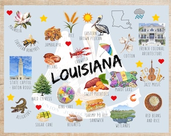 Op de afbeelding: Een kleurrijke illustratie van de staat Louisiana met pictogrammen die verschillende aspecten van de cultuur, het eten en de natuur van de staat vertegenwoordigen. De pictogrammen omvatten een pelikaan, kreeft, zoete aardappelen, koningentaart, garnalen po boy, jazzmuziek en meer.