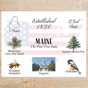postales thématiques et monuments du Maine | 1 carte postale ou carte pour correspondance | Papier cartonné épais | Pour envoyer un message à un ami