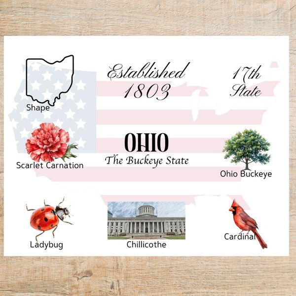 Ohio Themes and Landmarks Postcard | 1 Postcard | Thick Cardstock | For sending a postcard to a friend