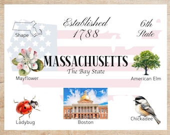 Massachusetts Themes and Landmarks Postcard | 1 Postcard | Thick Cardstock | For sending a postcard to a friend