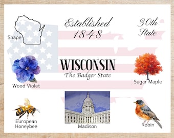 Cartolina con temi e punti di riferimento del Wisconsin / 1 cartolina / Cartoncino spesso / Per inviare una cartolina a un amico