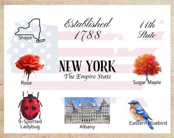 New York Postcard | 1 Postcard | Thick Cardstock | For sending a postcard to a friend