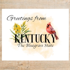 Saluti dal Kentucky Cartolina / 1 cartolina o biglietto / Cartoncino spesso / Perfetta per Postcrossing o PostFun o per posta felice!
