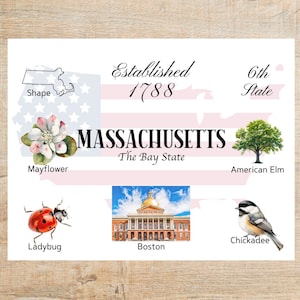 Massachusetts Themes and Landmarks Postcard | 1 Postcard | Thick Cardstock | For sending a postcard to a friend