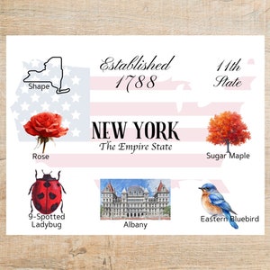 New York Postcard | 1 Postcard | Thick Cardstock | For sending a postcard to a friend