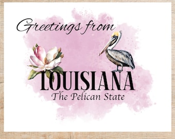 Op de afbeelding: Groeten uit Louisiana, de Pelikaanstaat, een ansichtkaart met een roze aquarel achtergrond waarop een bruine pelikaan en een witte magnolia bloem te zien zijn.