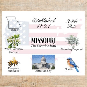 Cartão postal com temas e marcos do Missouri | 1 cartão postal ou cartão de nota | Cartão grosso | Para enviar uma nota a um amigo
