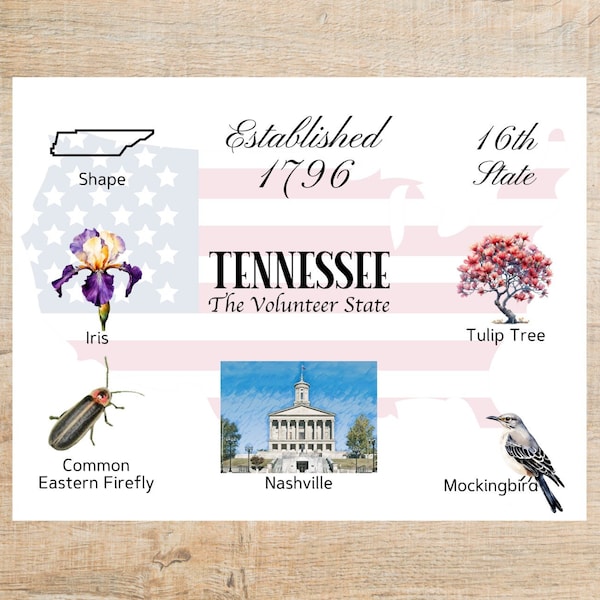 Tennessee Themes and Landmarks Postcard | 1 Postcard or notecard | Thick Cardstock | For sending a note to a friend