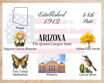 Arizona Themes and Landmarks Postcard | 1 Postcard | Thick Cardstock | For sending a postcard to a friend