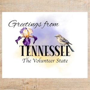 Groeten uit Tennessee Briefkaart | 1 ansichtkaart of kaartje | Dik karton | Ideaal voor het uitwisselen van kaarten of post!