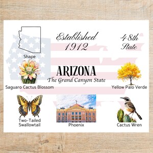 Arizona Themes and Landmarks Postcard | 1 Postcard | Thick Cardstock | For sending a postcard to a friend