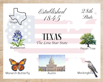 Texas Themes and Landmarks Postcard | 1 Postcard | Thick Cardstock | For sending a postcard to a friend