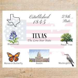 Texas Themes and Landmarks Postcard | 1 Postcard | Thick Cardstock | For sending a postcard to a friend