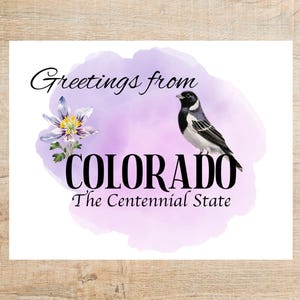 Salutations du Colorado | postales d'oiseau, de fleur et de devise | 1 carte postale ou carte pour correspondance | Papier cartonné épais | Idéal pour les échanges de cartes postales !