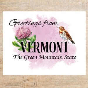 Greetings from Vermont Postcard | 1 Postcard or notecard | Thick Cardstock | Great for postcard exchanges or happy mail!