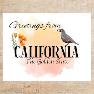 Saluti dalla California Cartolina / 1 cartolina / Cartoncino spesso / Per inviare una cartolina a un amico