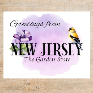 Saluti dal New Jersey Cartolina / 1 cartolina o biglietto / Cartoncino spesso / Ideale per lo scambio di cartoline o per inviare posta felice!