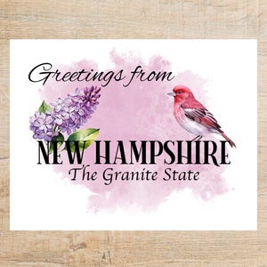 Saudações de New Hampshire Cartão postal | 1 cartão postal ou cartão postal | Cartão grosso | Ótimo para trocas de cartões postais ou correspondências personalizadas!