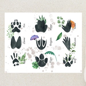 postale d'empreintes de pas d'animaux | 1 carte postale ou carte pour correspondance | Papier cartonné épais | Pour envoyer une carte postale à un ami